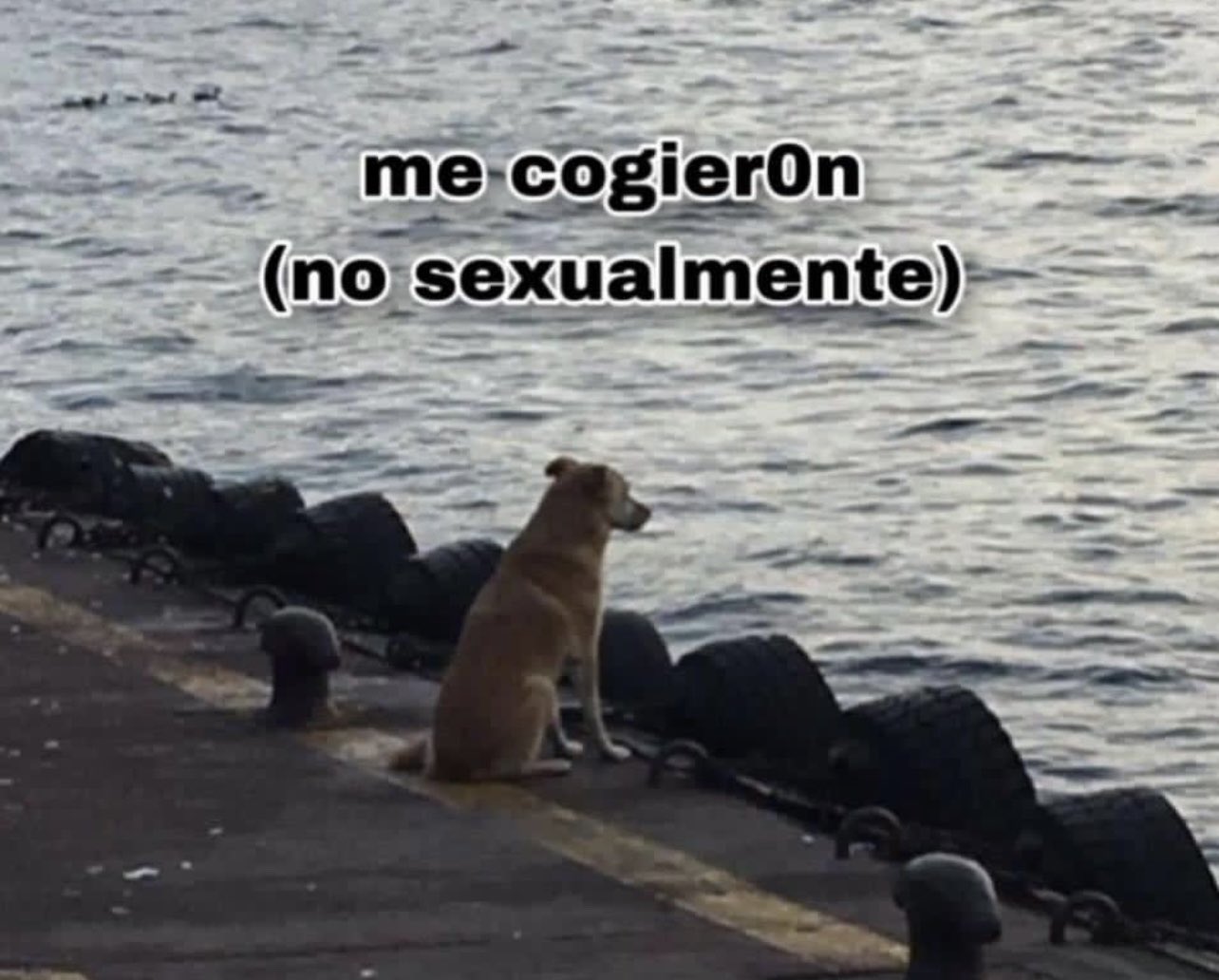 Ya nos cogieron y nos volverán a coger.